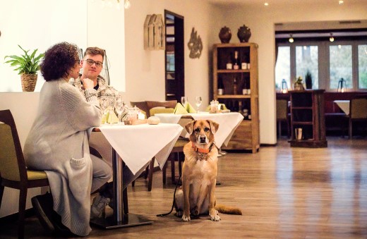 VanLuettjen - Restaurant 2 web Gäste mit Hund im Restaurant